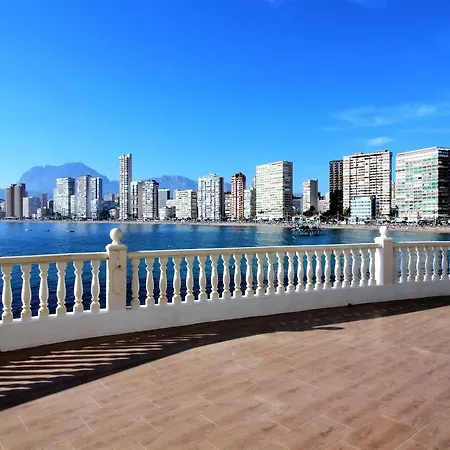 Algas 5-1 * Benidorm